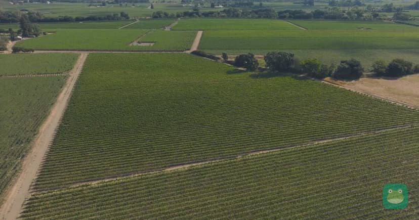 Delta One's new wine list: Silver Oak, Trefethen and Taittinger on domestic flights